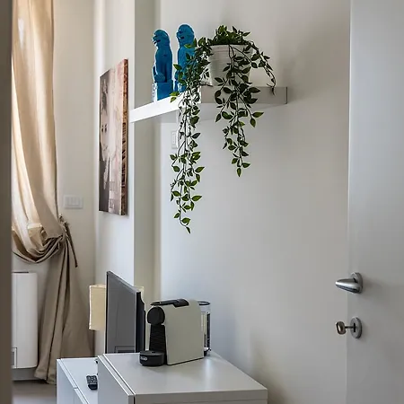 Apartment City & Suites